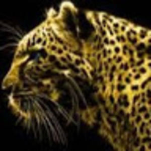 Meet your Posher, Lexi